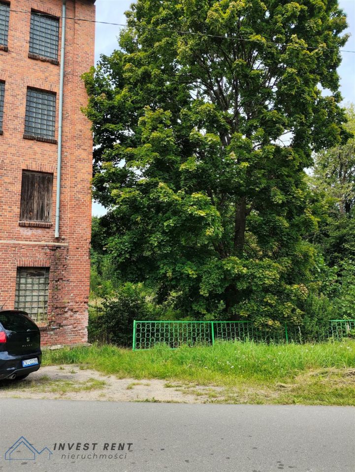 Działka inwestycyjna Dobrowo Dobrówko. Zdjęcie 2