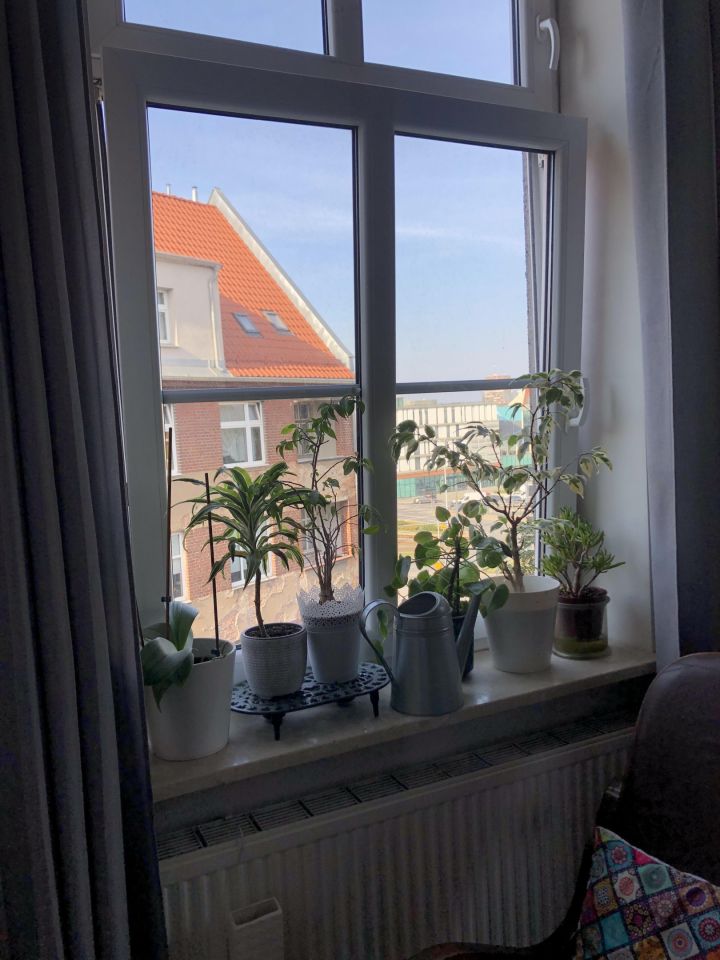 Pokój Gdańsk Śródmieście, ul. Biskupia. Zdjęcie 5