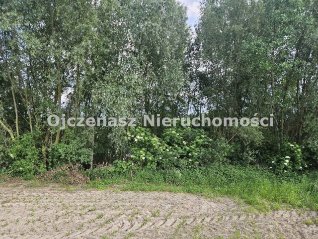 Działka rekreacyjna Dobrcz. Zdjęcie 8