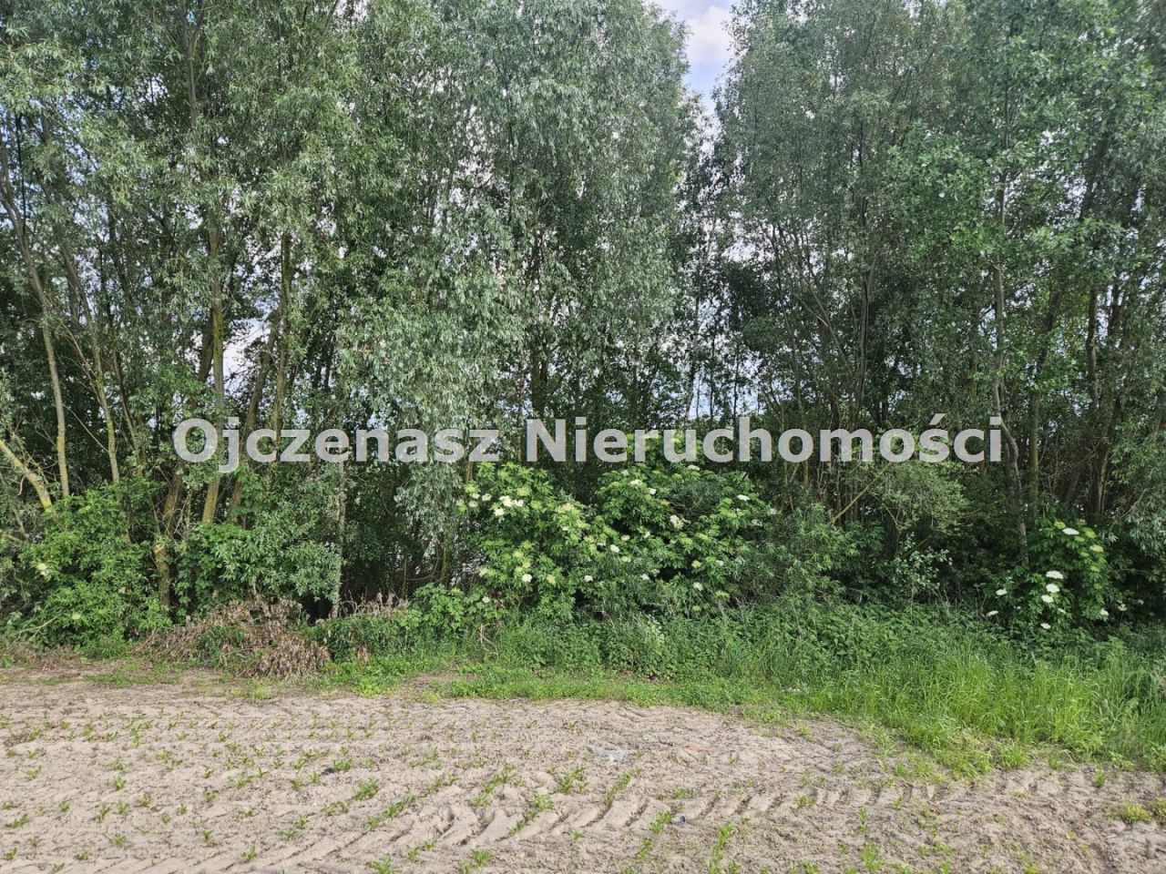 Działka rekreacyjna Dobrcz. Zdjęcie 8