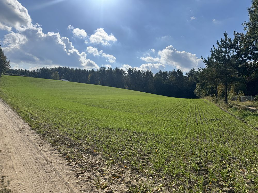 Działka budowlana Smołdzino, ul. Techlinka. Zdjęcie 3