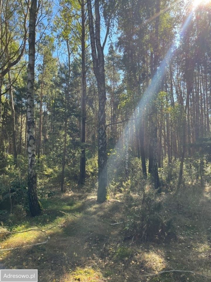 Działka rolna Ciechanowiec Ciechanowczyk. Zdjęcie 6