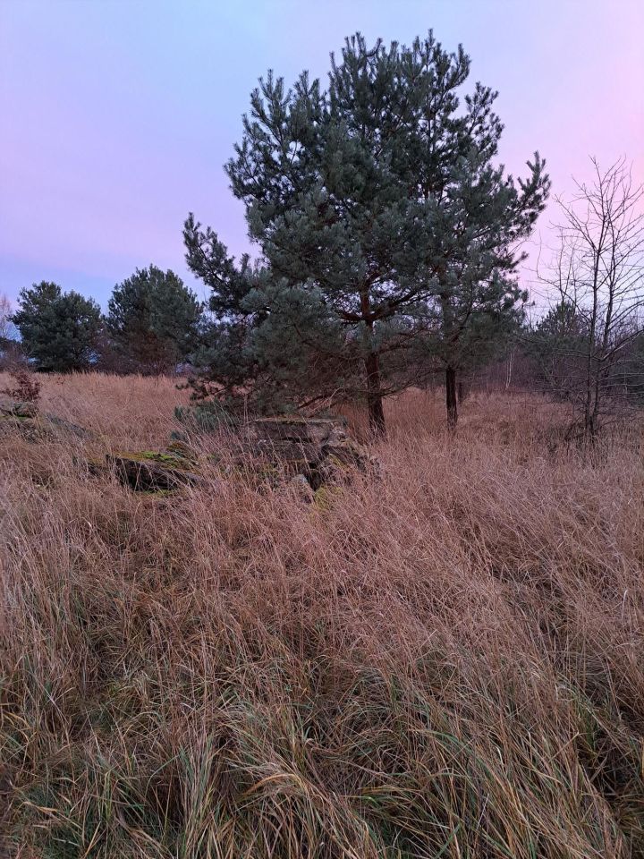 Działka budowlana Olbrachtów. Zdjęcie 4