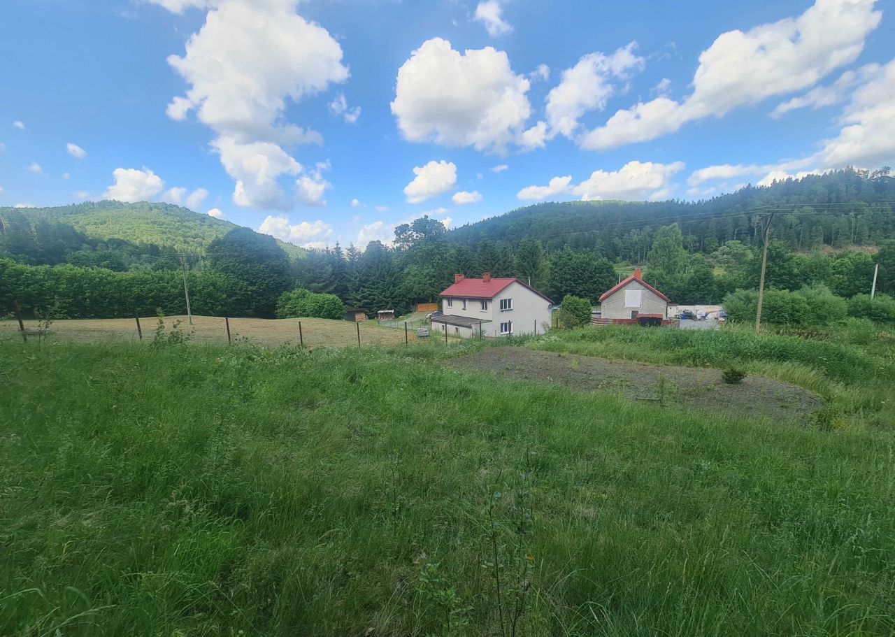 dom wolnostojący, 5 pokoi Błażkowa. Zdjęcie 4