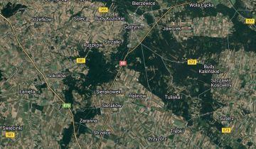 Działka leśna Leśniewice, Leśniewice