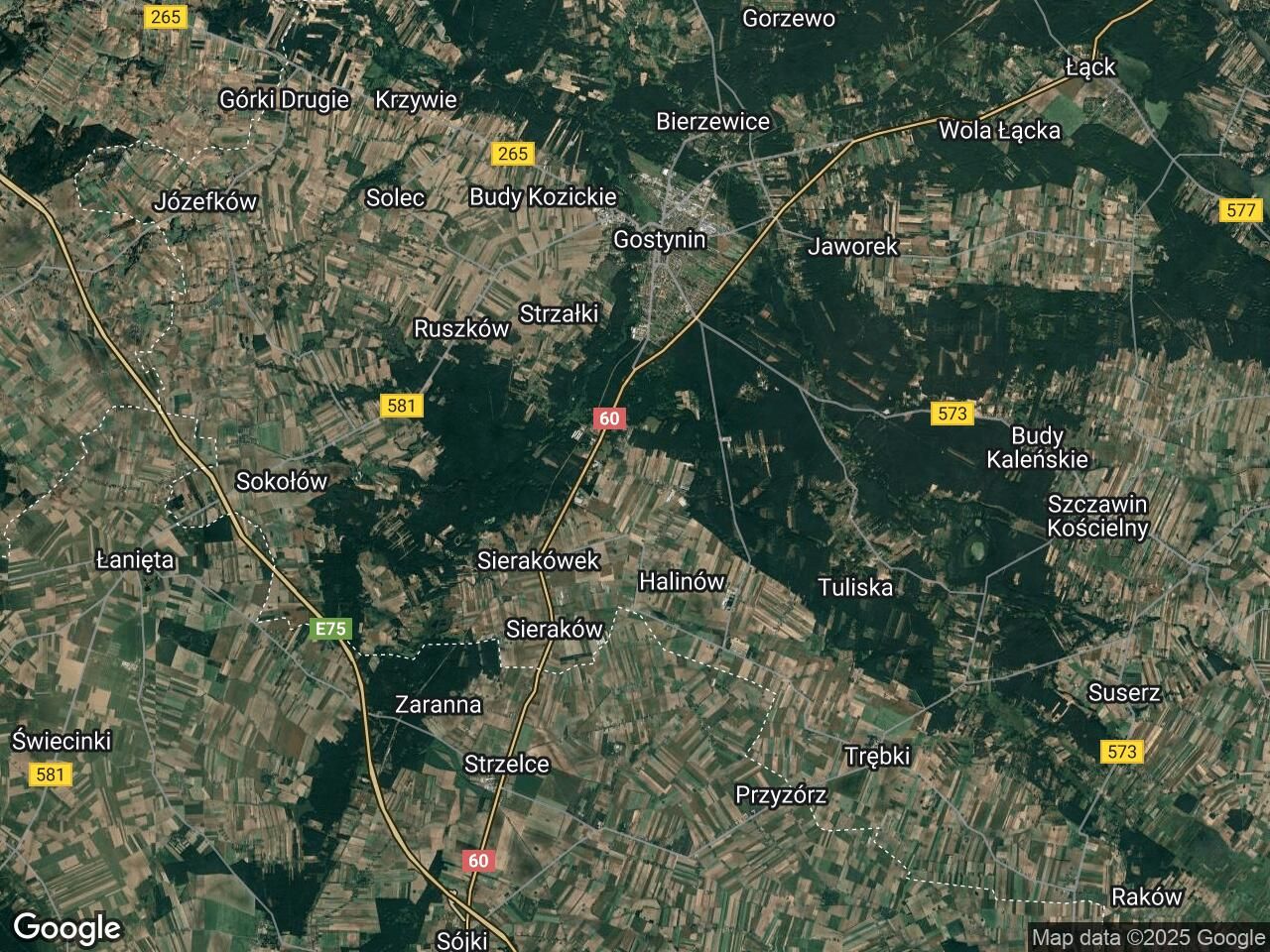 Działka leśna Leśniewice