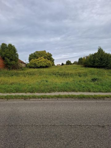 Działka rolno-budowlana Banie, ul. Myśliborska. Zdjęcie 2
