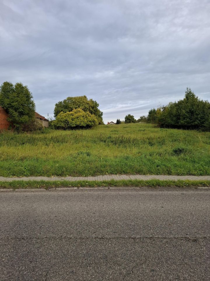 Działka rolno-budowlana Banie, ul. Myśliborska. Zdjęcie 2