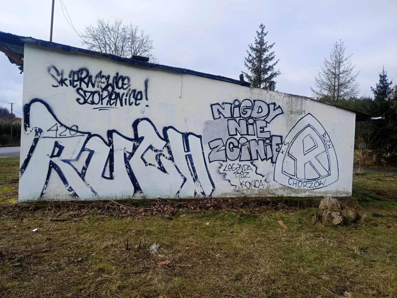 Działka budowlana Święte Nowaki. Zdjęcie 16