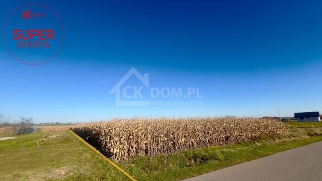 Działka budowlana Sielec. Zdjęcie 7