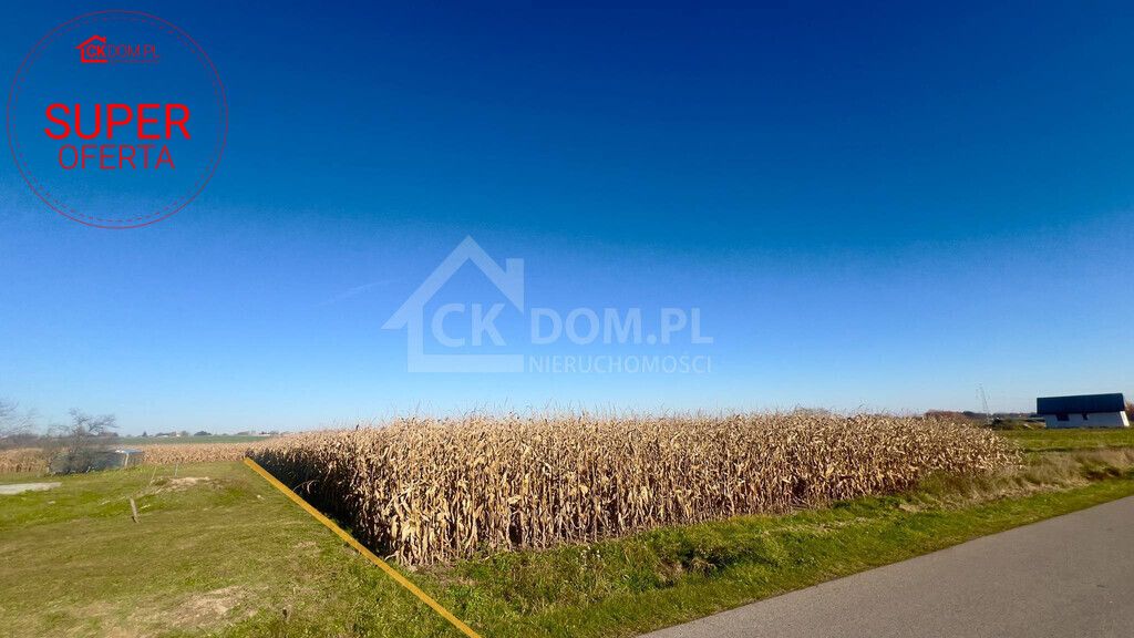 Działka budowlana Sielec. Zdjęcie 7