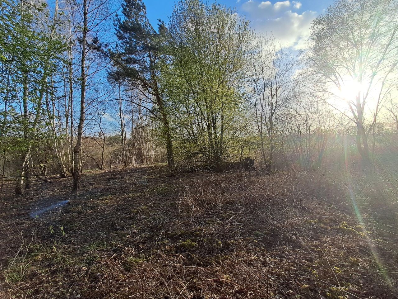 Działka rolno-budowlana Płock, Zofiówka. Zdjęcie 7