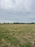 Działka rolno-budowlana Skała, ul. Marianów. Zdjęcie 3