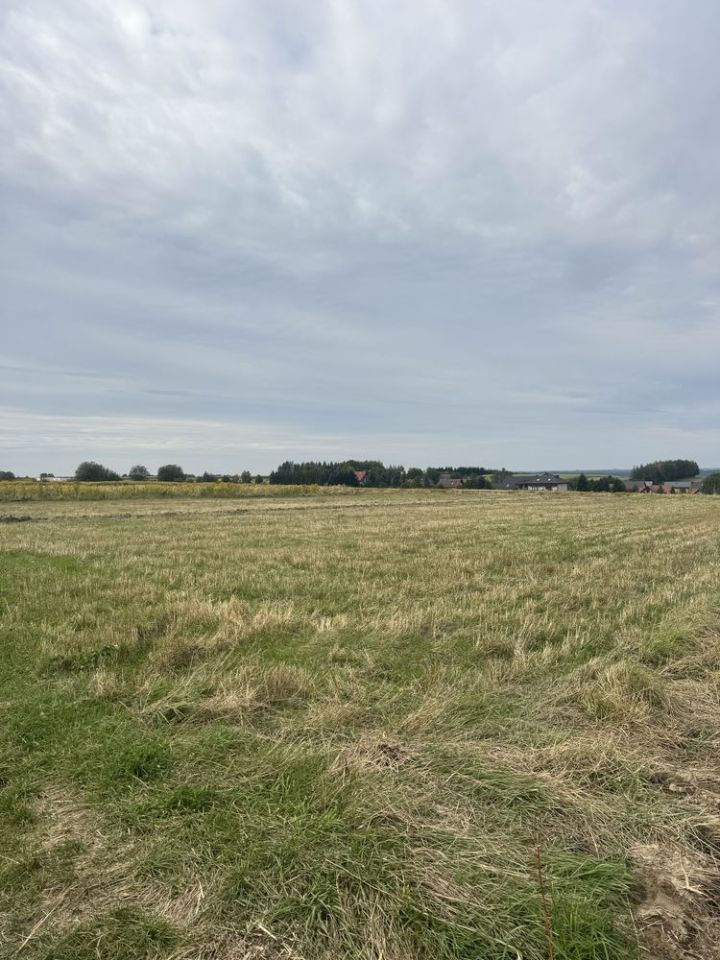 Działka rolno-budowlana Skała, ul. Marianów. Zdjęcie 4