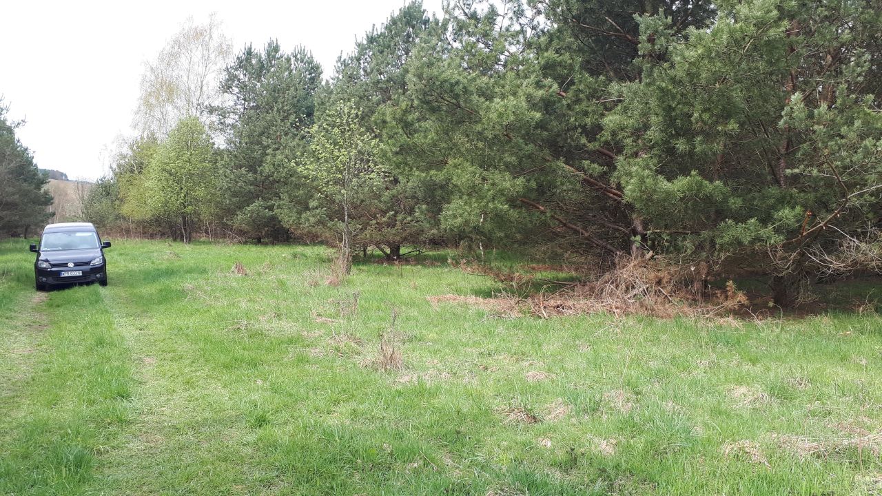 Działka rolna Trelkowo. Zdjęcie 2