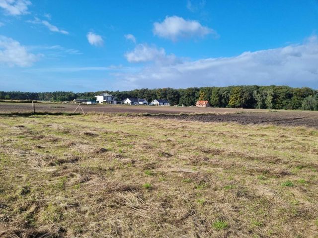 Działka budowlana Bachorzew. Zdjęcie 1