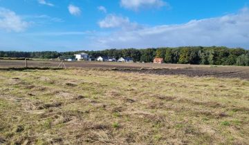 Działka budowlana Bachorzew