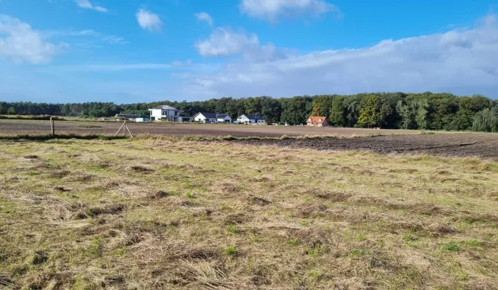 Działka budowlana Bachorzew