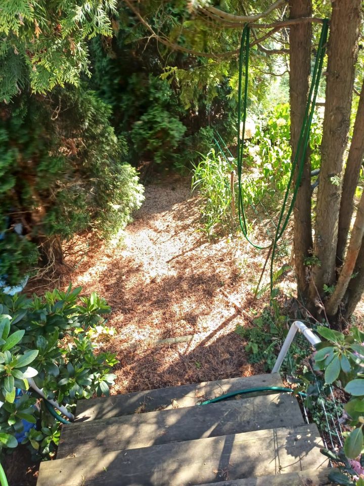 Działka rekreacyjna Żurczyn. Zdjęcie 8