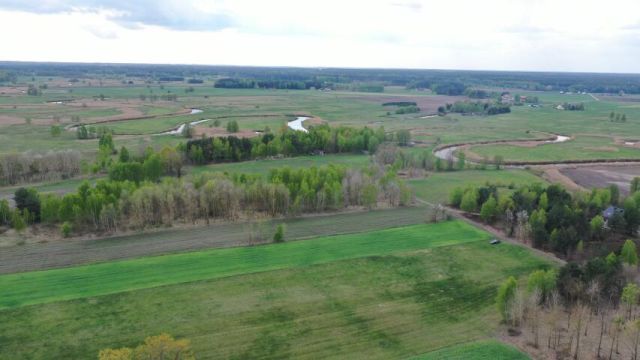 Działka rolno-budowlana Cieciory. Zdjęcie 3