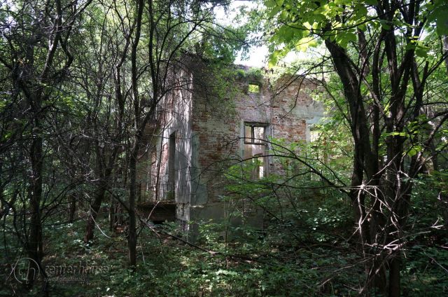 dworek Dąbrowica. Zdjęcie 11