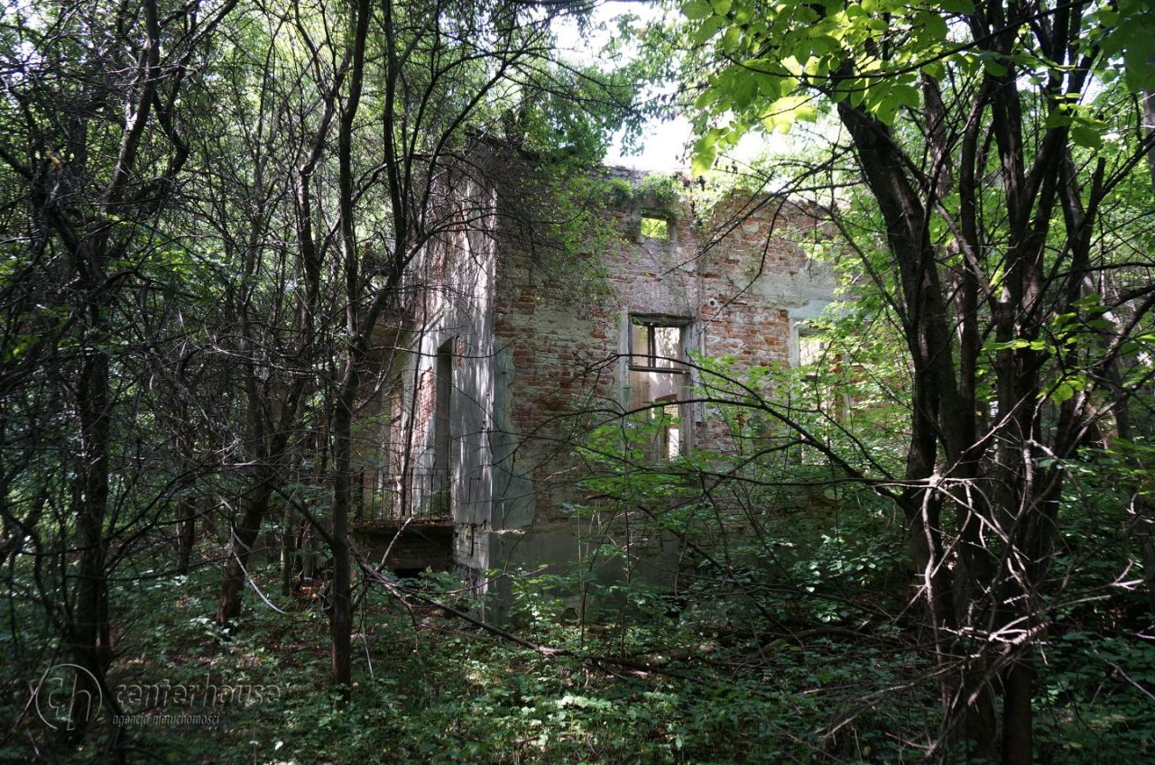 dworek Dąbrowica. Zdjęcie 11