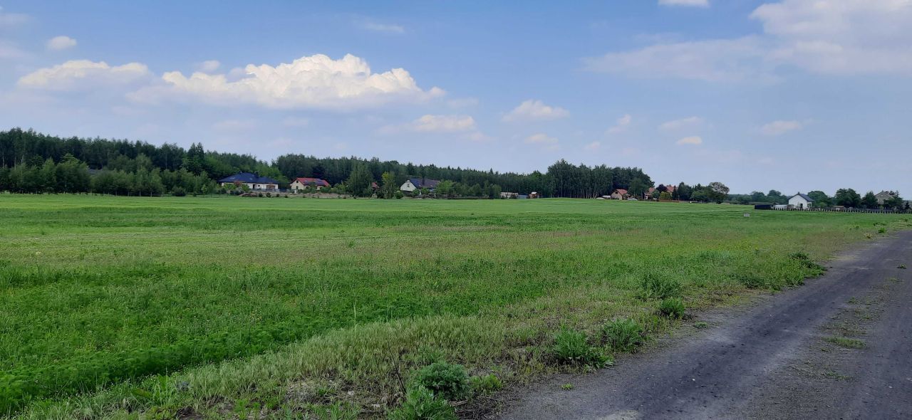 Działka budowlana Strobów. Zdjęcie 7