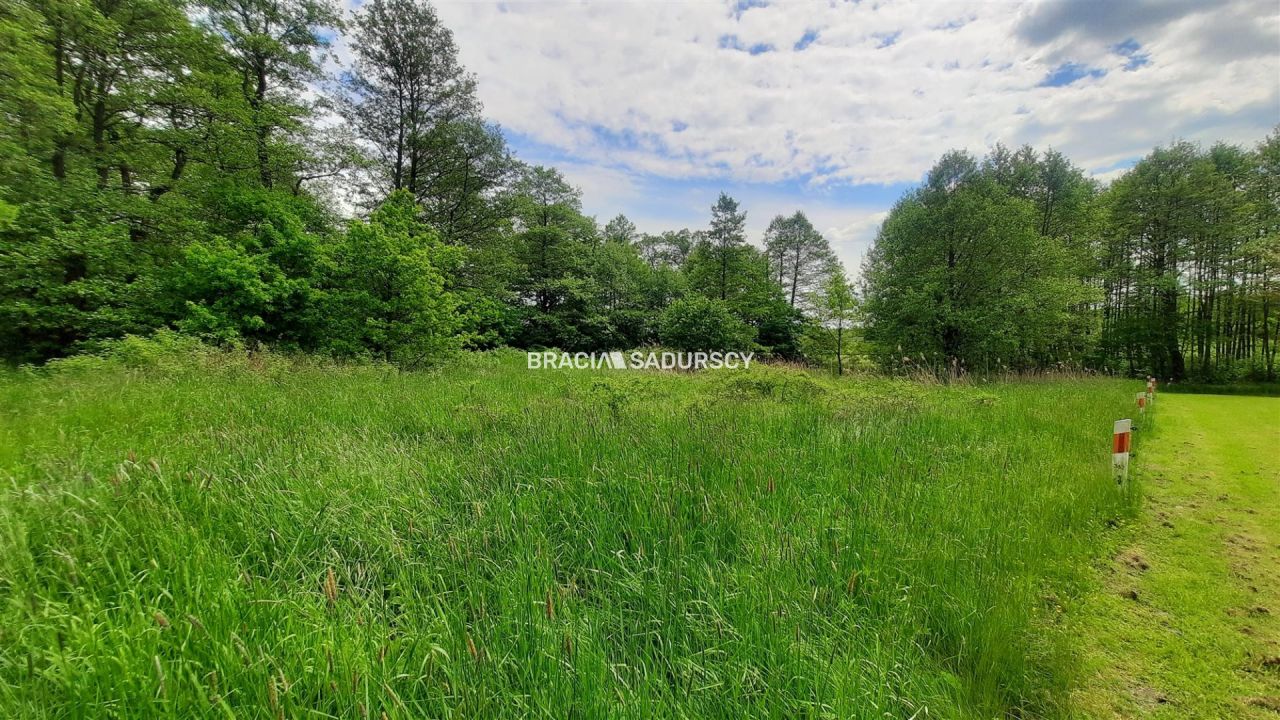 Działka inwestycyjna Rudno. Zdjęcie 2