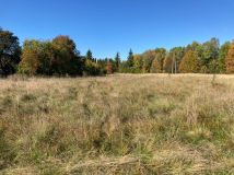 Działka budowlana Rabinówka. Zdjęcie 2