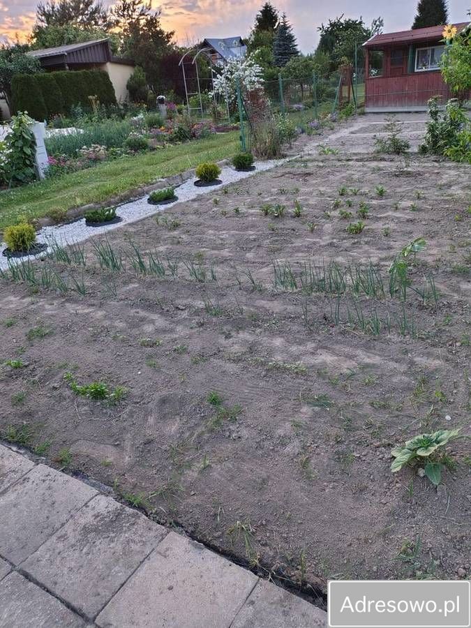 Działka rod Świdnik. Zdjęcie 9