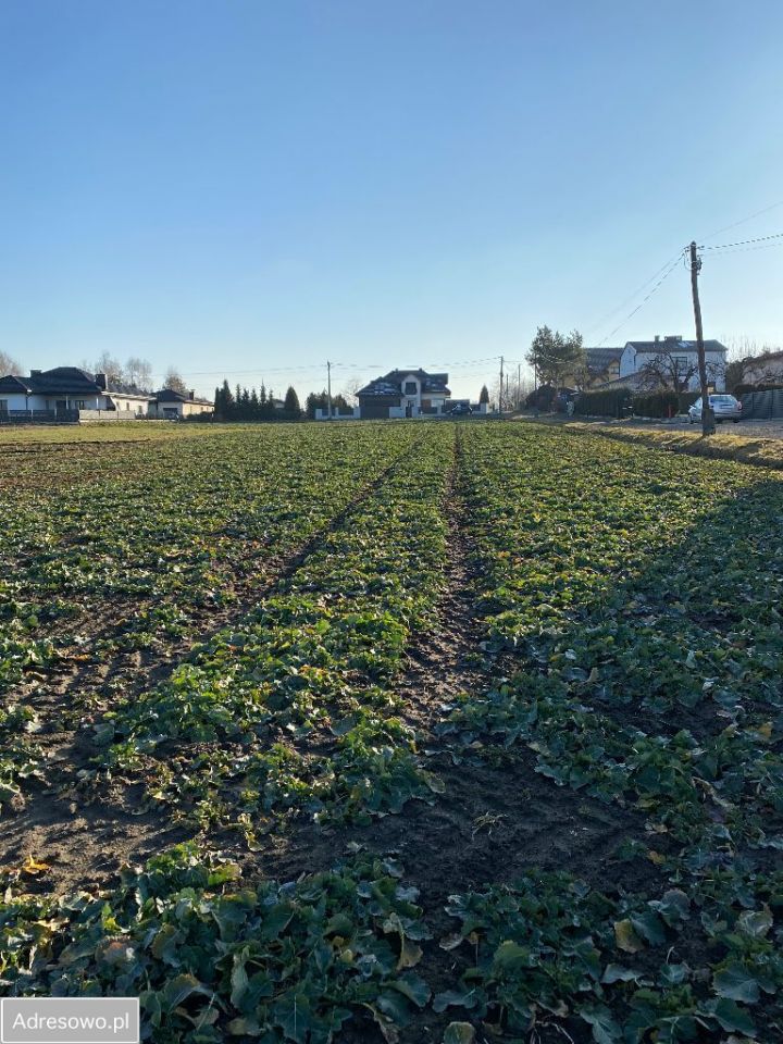 Działka budowlana Czarków, ul. Wiśniowa