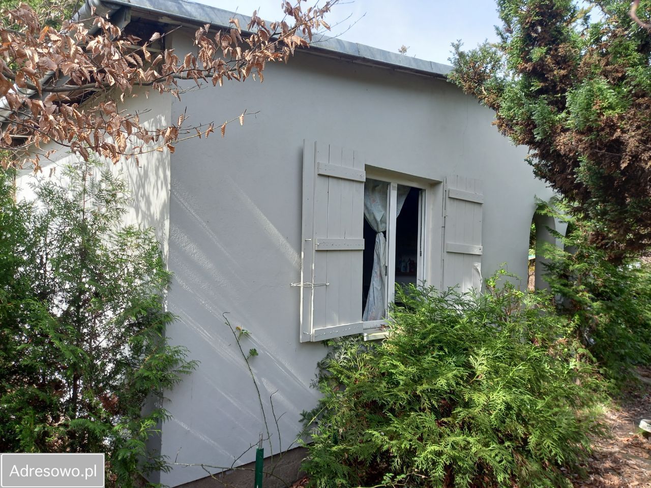 Działka rod Szczaki, ul. Mrokowska. Zdjęcie 15