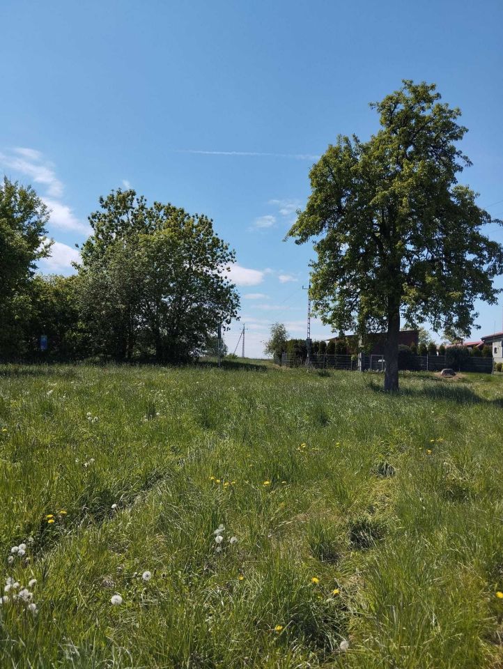 Działka budowlana Dębice. Zdjęcie 6
