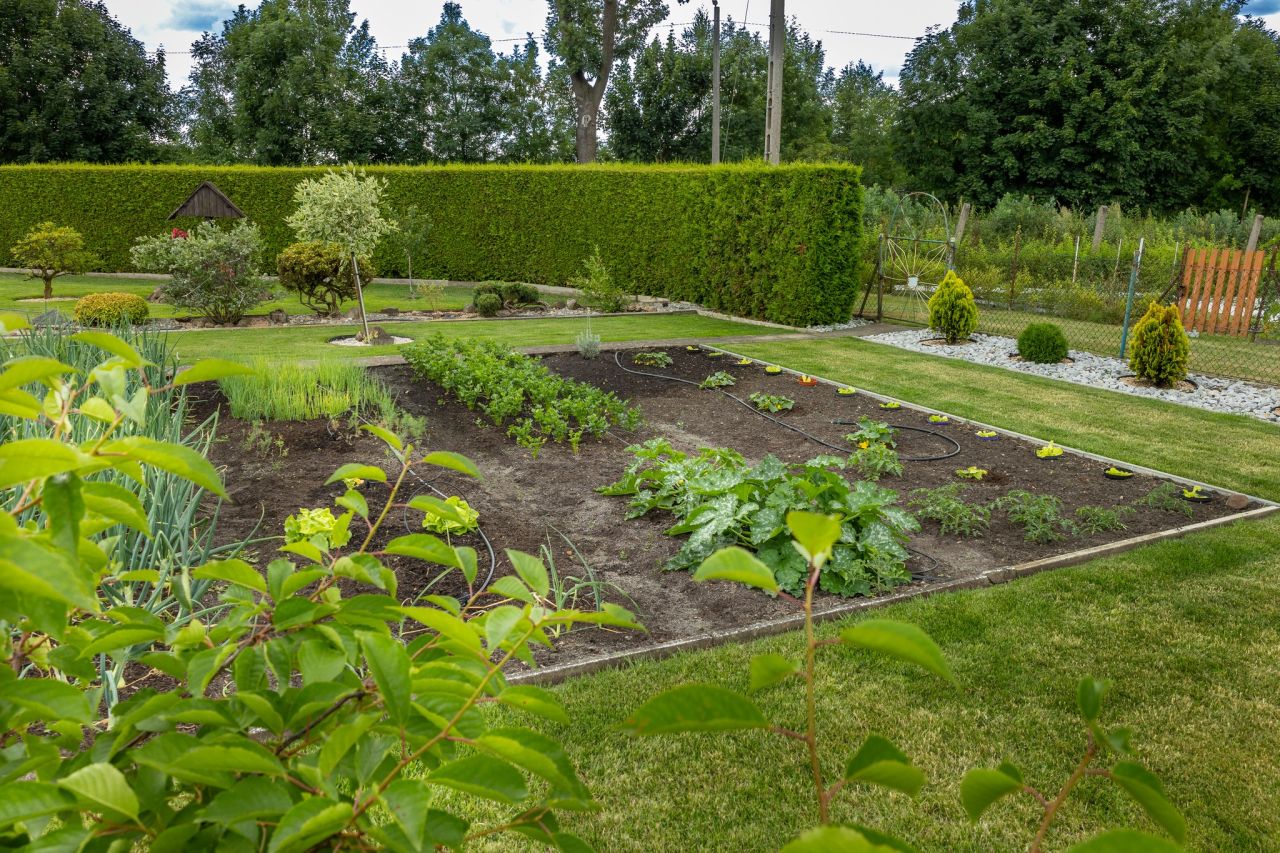 Działka rod Kluczbork, ul. Dworcowa. Zdjęcie 12