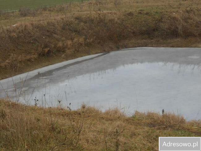 Działka rolna Żaby. Zdjęcie 5