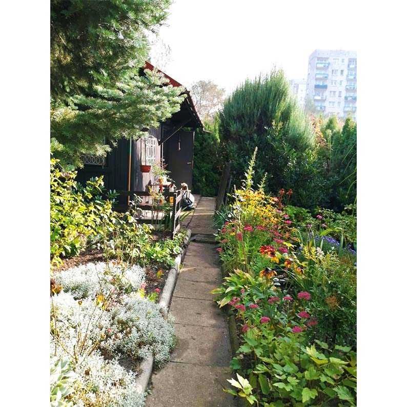 Działka rod Bielsko-Biała, ul. Zofii Kossak-Szczuckiej. Zdjęcie 8