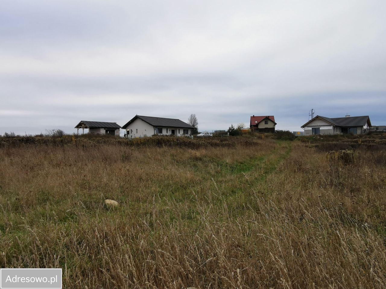Działka rolno-budowlana Dankowo. Zdjęcie 3