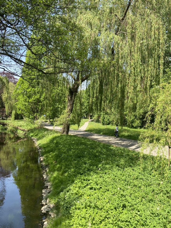Mieszkanie 4-pokojowe Koszalin Centrum, ul. Szpitalna. Zdjęcie 24