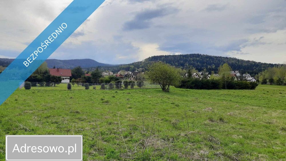 Działka rolna Wysowa-Zdrój. Zdjęcie 11