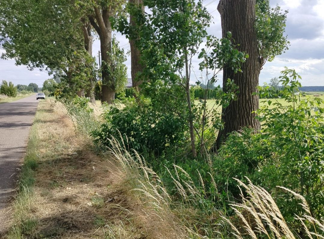 Działka rolna Głuchowo, ul. Lemierzycka. Zdjęcie 4