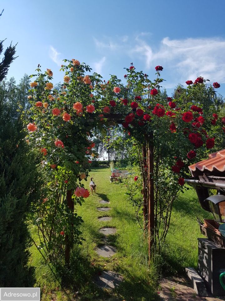 dom szeregowy, 5 pokoi Taczów Wielki. Zdjęcie 3