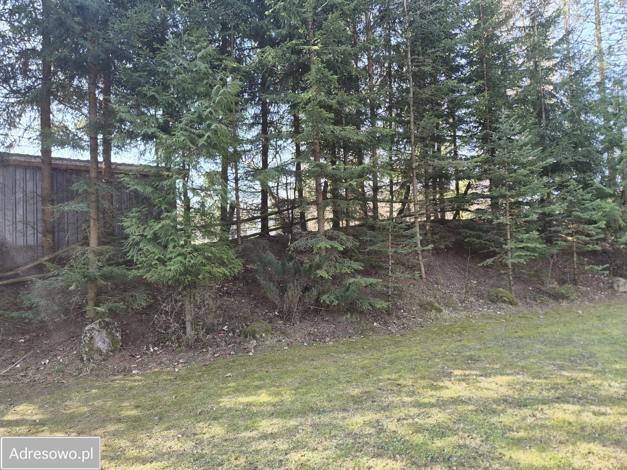 Działka rekreacyjna Sulejki. Zdjęcie 2