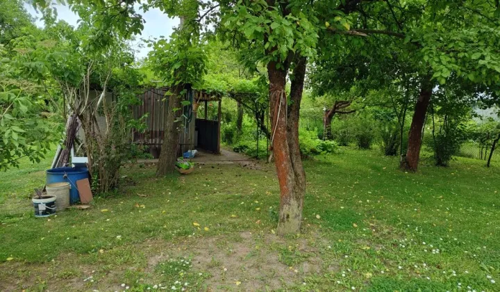 Działka rod Radom, ul. Kielecka