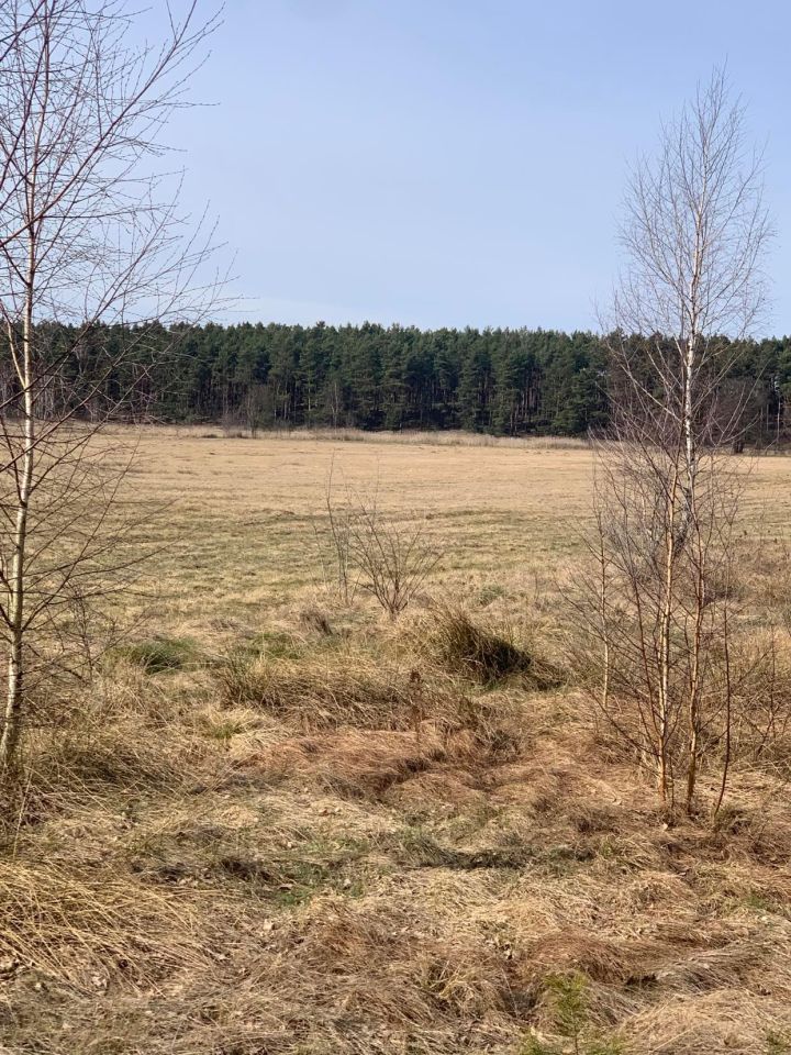 Działka rolno-budowlana Podgać. Zdjęcie 2