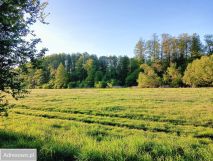 Działka budowlana Cykowo. Zdjęcie 4