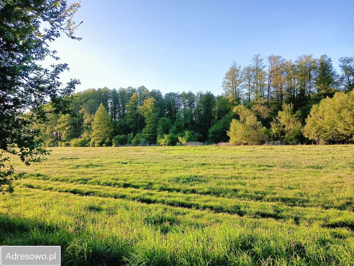 Działka budowlana Cykowo. Zdjęcie 5