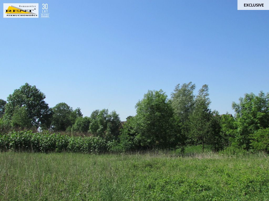 Działka budowlana Sadlno. Zdjęcie 4