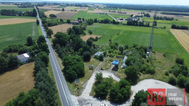 Lokal Rzymsko. Zdjęcie 7