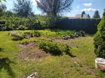 Działka rod Giżycko, ul. Rajska. Zdjęcie 2