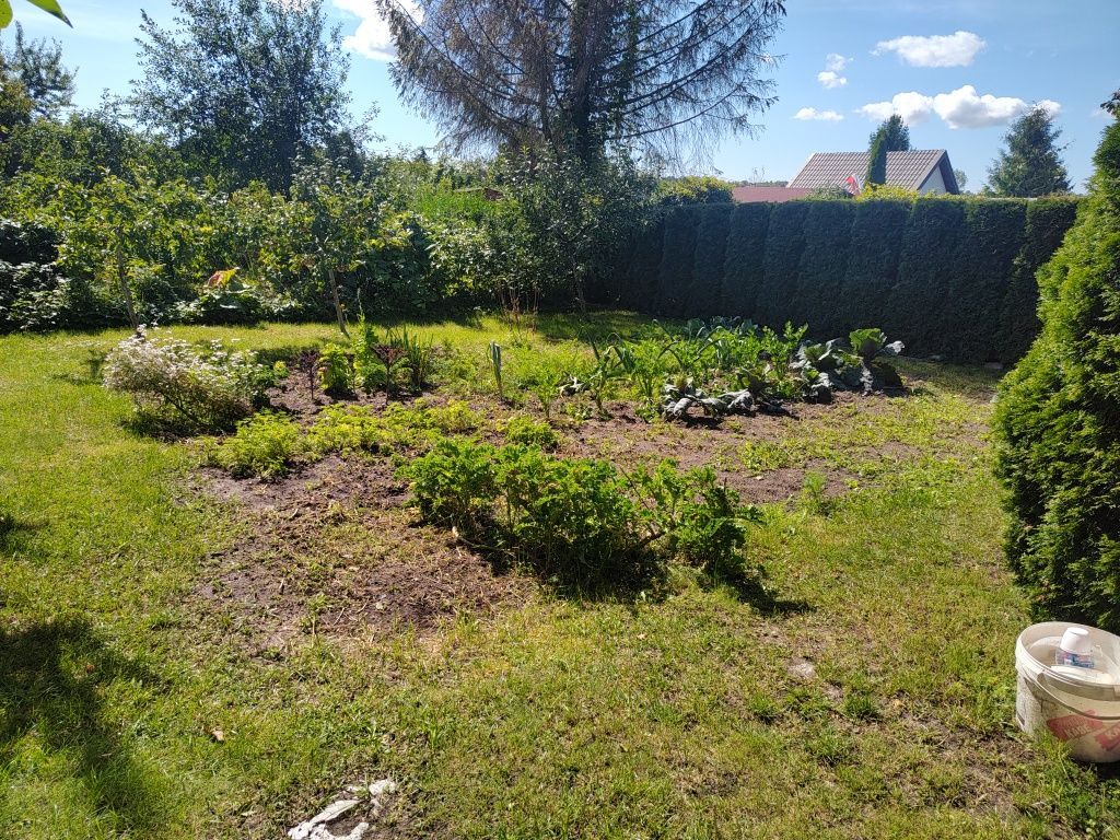 Działka rod Giżycko, ul. Rajska. Zdjęcie 3